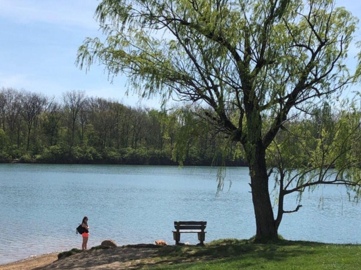 Picture of Antrim Park