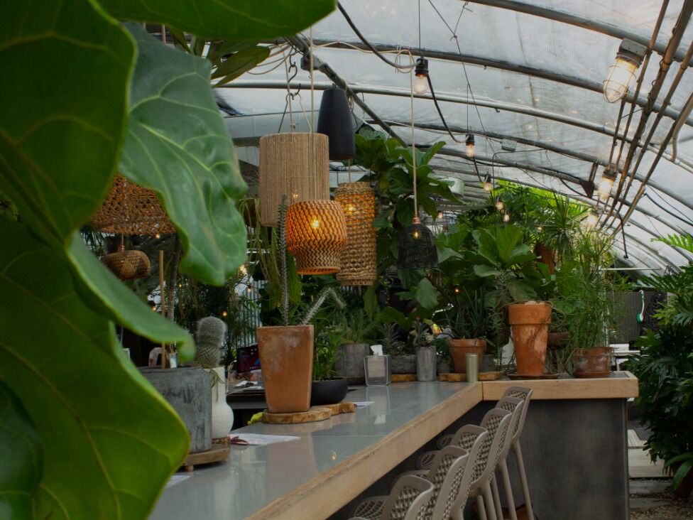 Picture of Greenhouse Bar