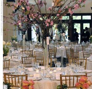 The Centerpieces