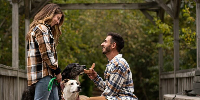 Sophia & Brian Home Page Banner