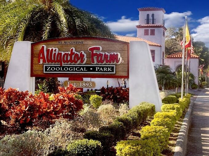 Picture of St. Augustine Alligator Farm Zoological Park