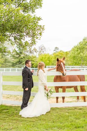 Private Ranch Estate, Horse Setting