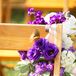 Ceremony Flower Details