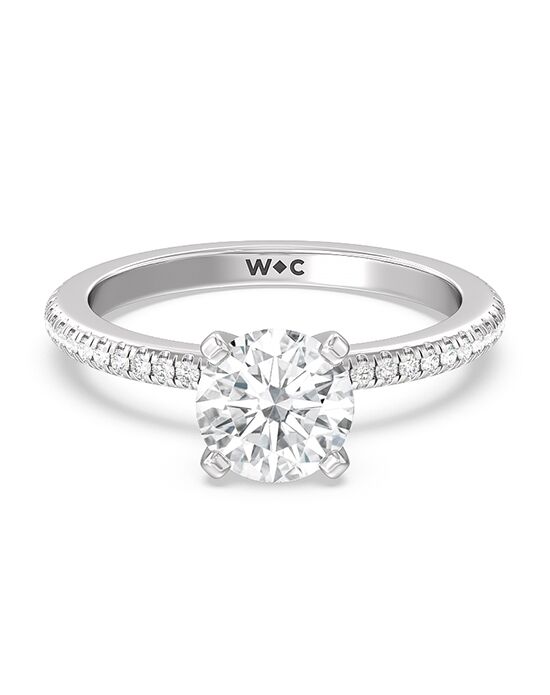 With Clarity Elegant Princess, Cushion, Emerald, Radiant, Round, Oval Cut Engagement Ring - 1