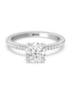 With Clarity Elegant Princess, Cushion, Emerald, Radiant, Round, Oval Cut Engagement Ring