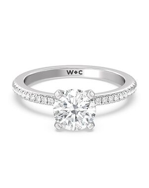 With Clarity Elegant Princess, Cushion, Emerald, Radiant, Round, Oval Cut Engagement Ring