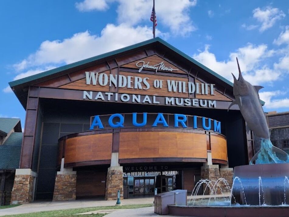 Picture of Wonders Of Wildlife National Museum & Aquarium