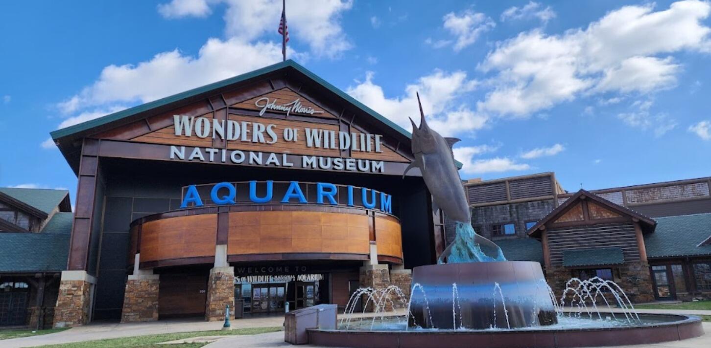 Picture of Wonders Of Wildlife National Museum & Aquarium