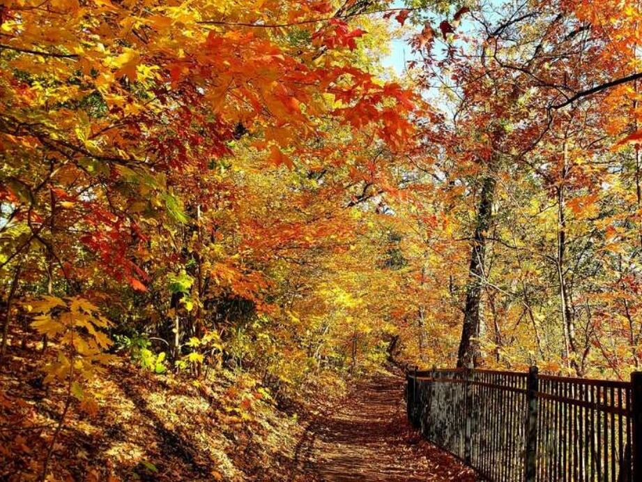Picture of Winchell Trail