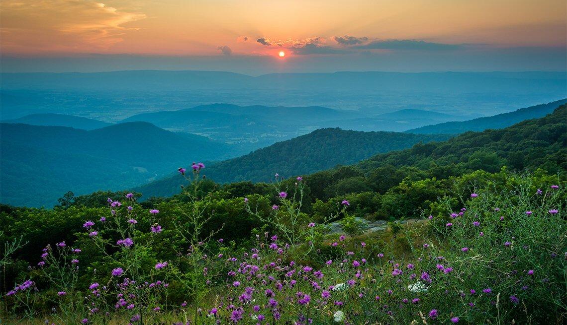 Picture of Shenandoah National Park