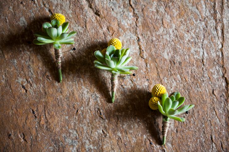 The groom and groomsmen wore succulents and billy balls for rustic boutonnieres.