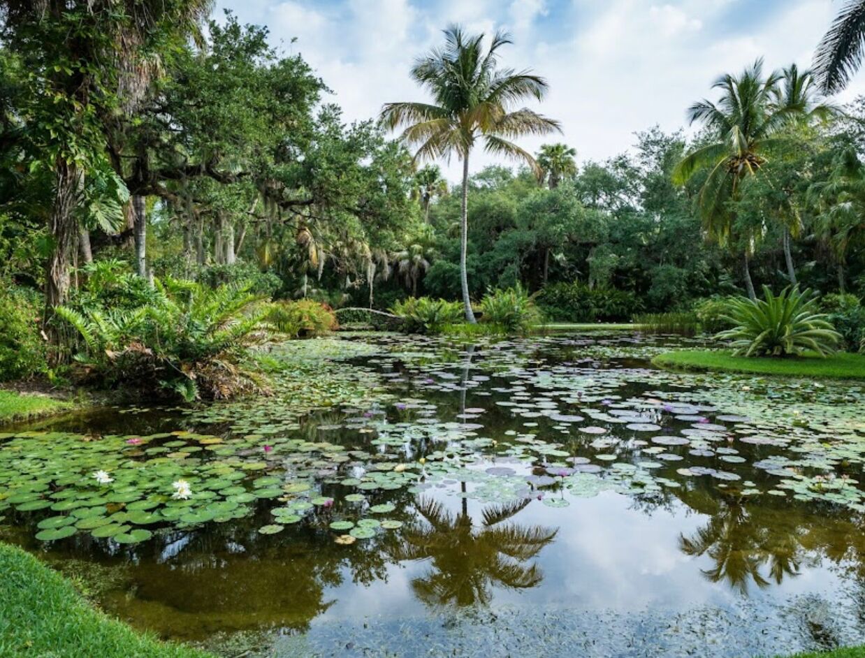 Picture of Mckee Botanical Gardens