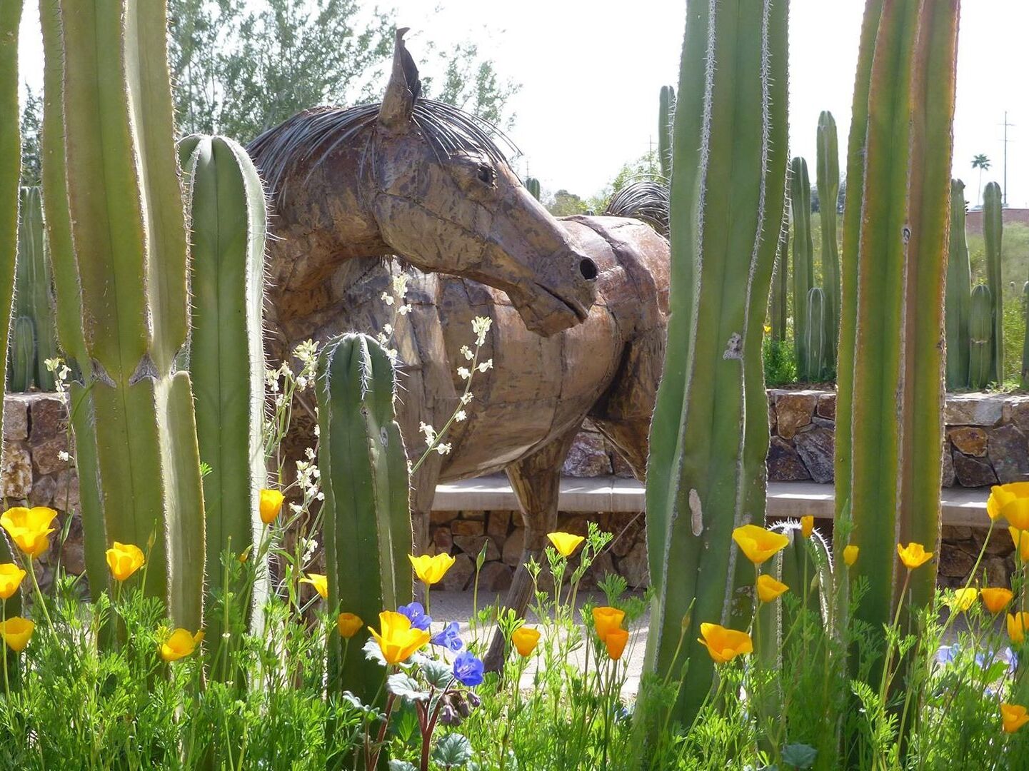 Picture of Tohono Chul | Gardens, Galleries, and Bistro