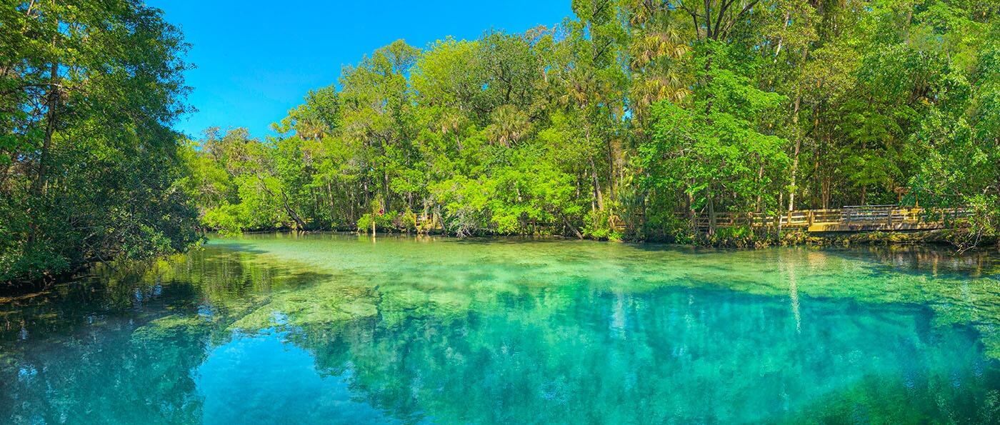 Picture of Homosassa Springs State Park Adventures