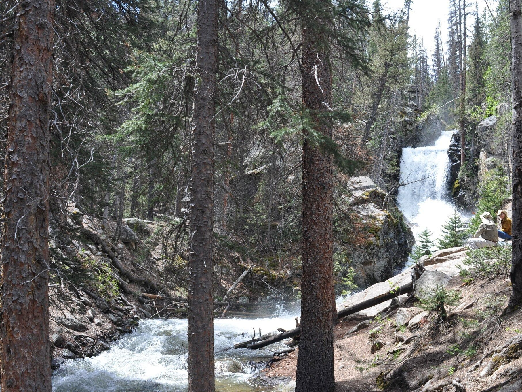 Picture of Browns Creek Falls