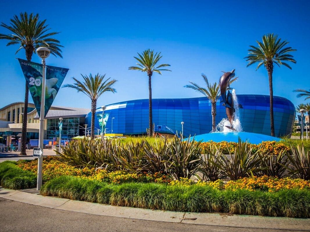 Picture of Aquarium of the Pacific