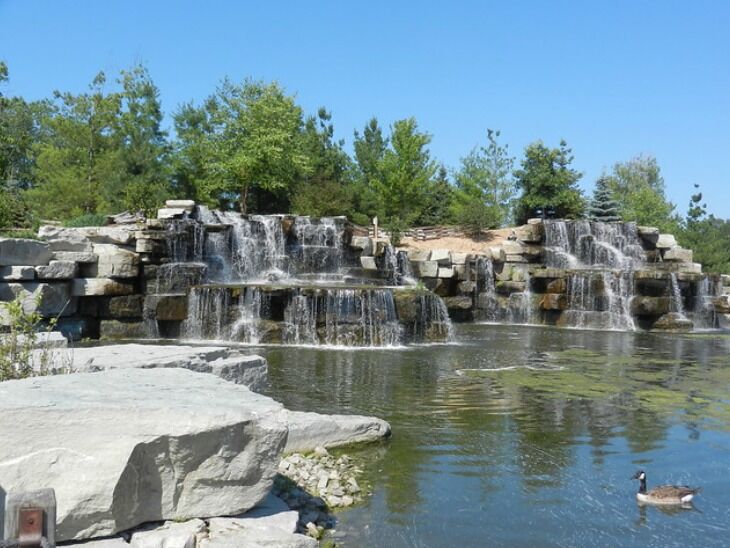 Picture of Bay Beach Wildlife Sanctuary