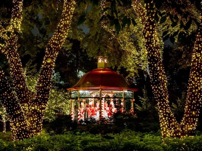 Picture of Christmas at the Dallas Arboretum