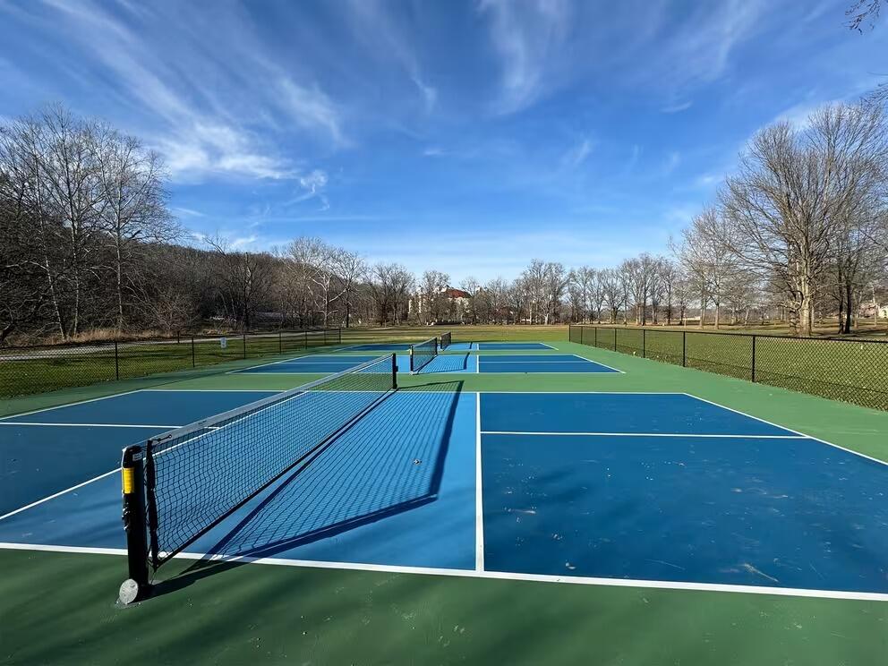 Picture of Pickleball