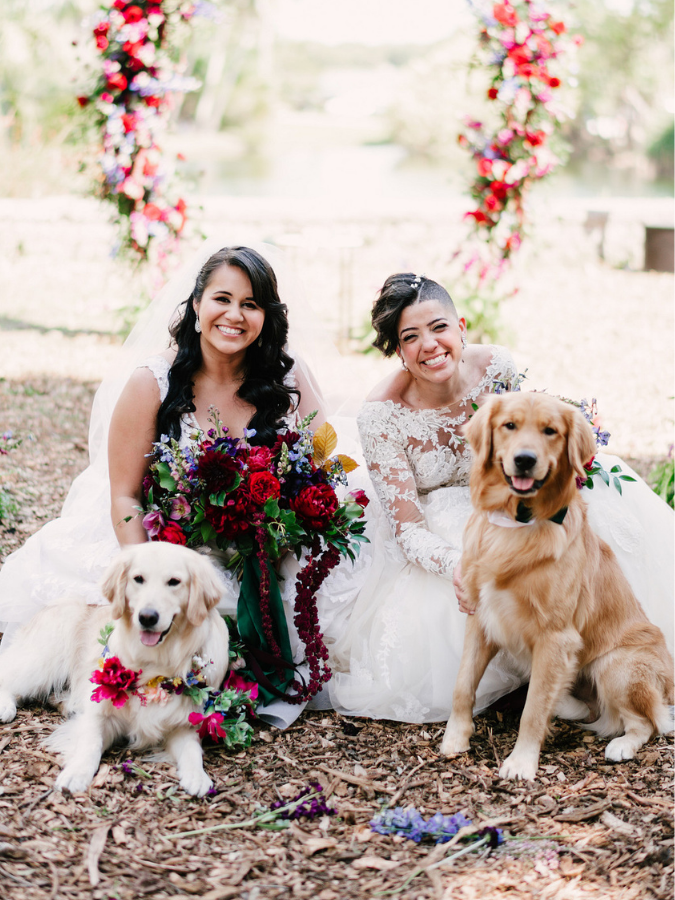 Brides posing with dogs on wedding day