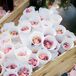 Pink rose petals were gathered in white doily cones to throw at the couple as they exited their ceremony.