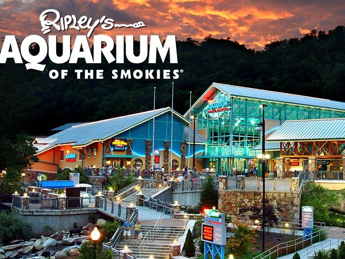 Picture of Ripley's Aquarium of the Smokies