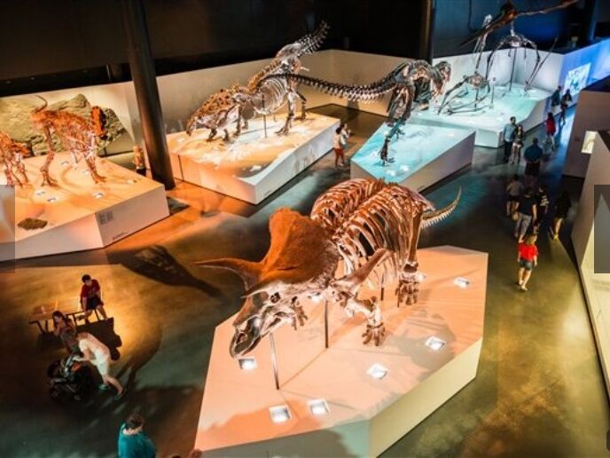 Picture of Houston Museum of Natural Science