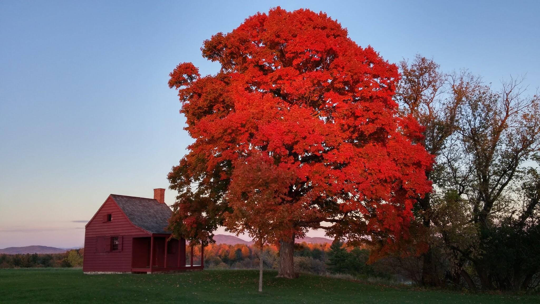 Picture of Saratoga Battlefield