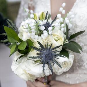 Gallery Photo 51