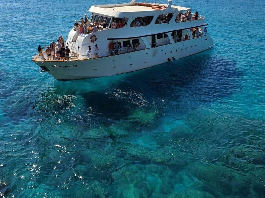 Picture of Luxury Yacht to Turtle Cove with lunch
