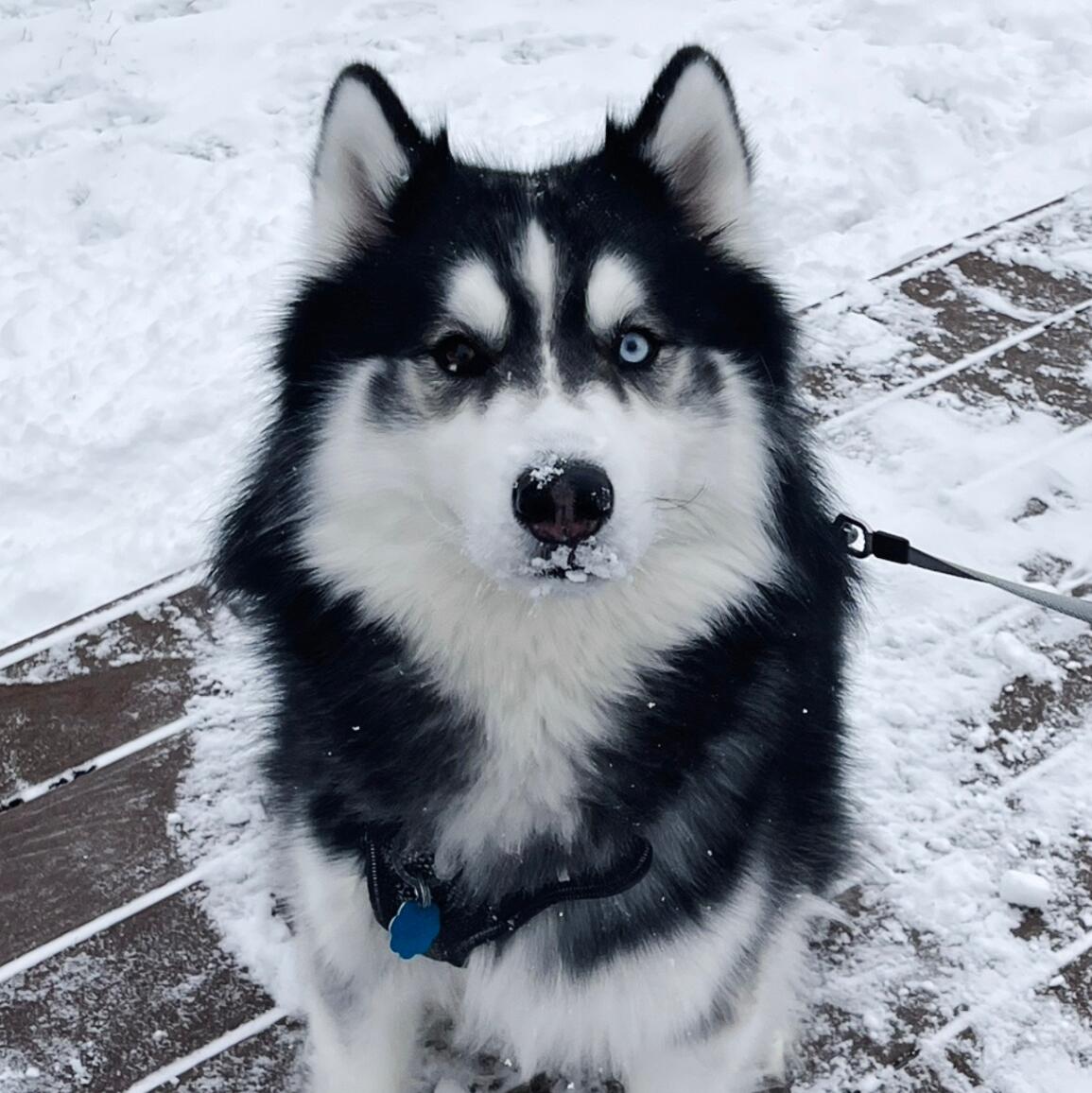 Zeus George