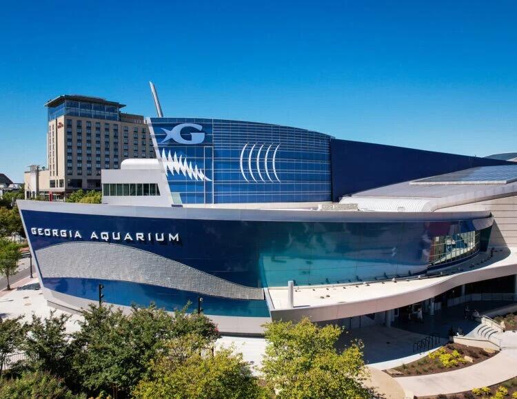 Picture of Georgia Aquarium