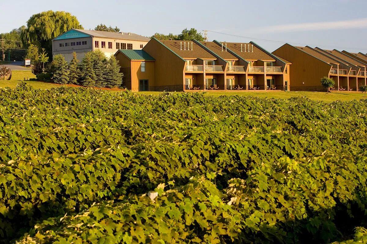 Picture of Veraisons at the Inn at Glenora Wine Cellars