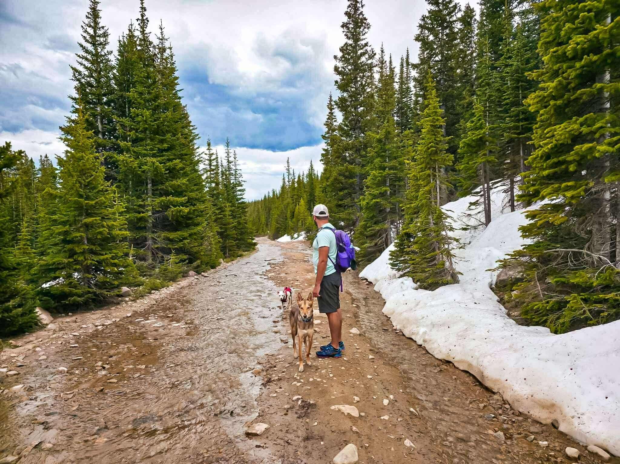 We cherish long walks and spontaneous adventures, where the conversations flow easily and the world seems to slow down just for us.