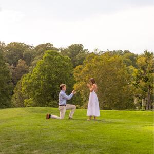 Gallery Photo 20