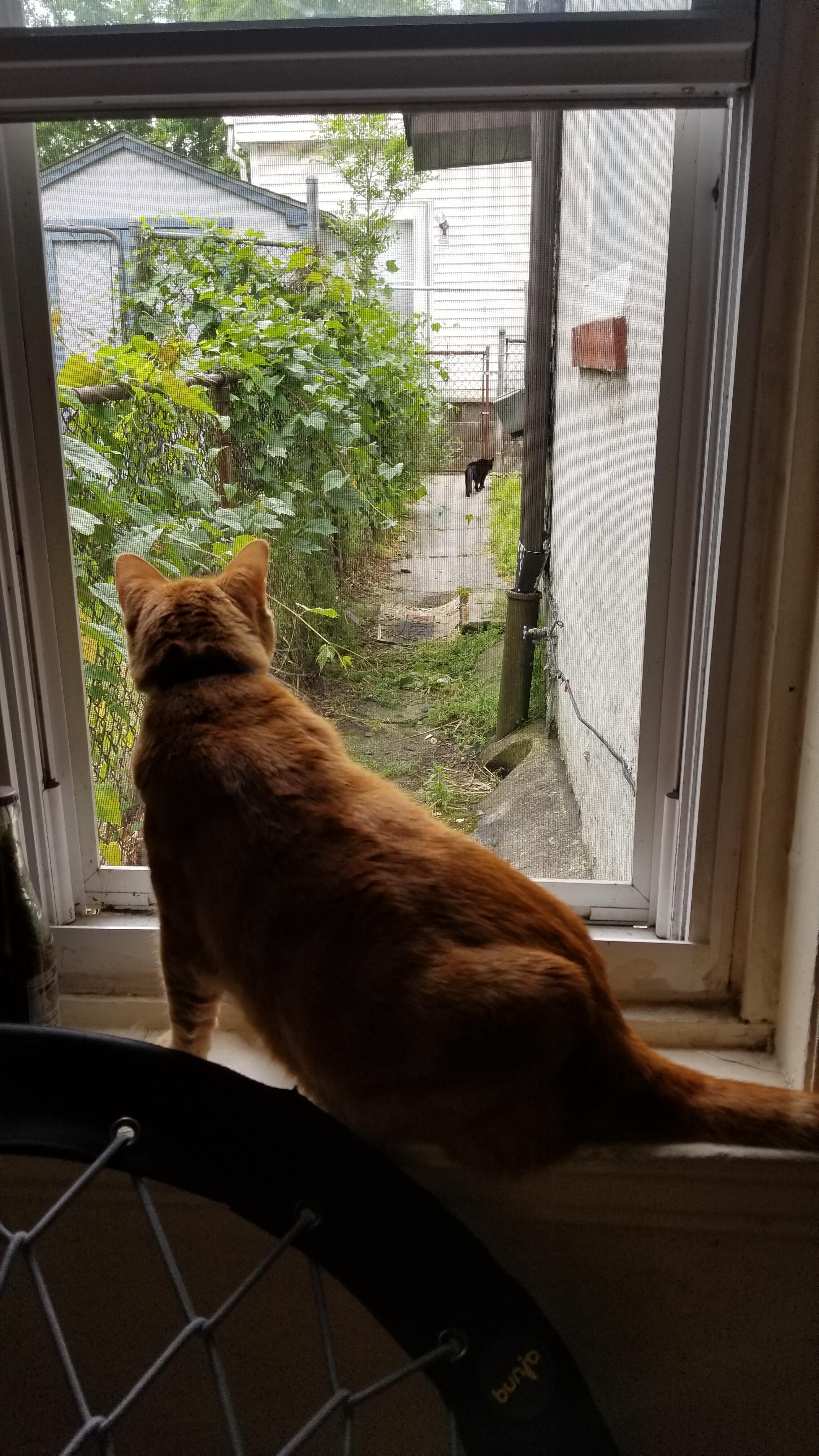 Album Photo 56
