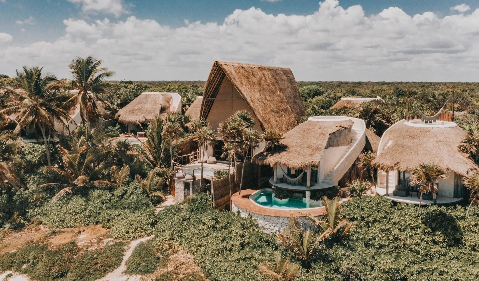 Picture of Papaya Playa Project