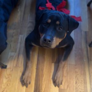 Gallery Photo 37