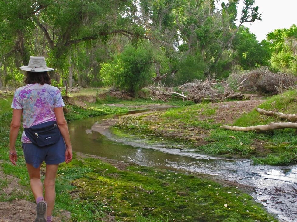 Picture of Walk / Hike The Anza Trail