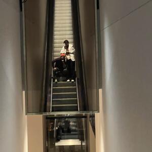 Gallery Photo 47