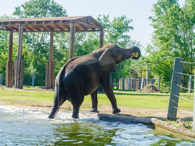 Picture of Jacksonville Zoo & Gardens