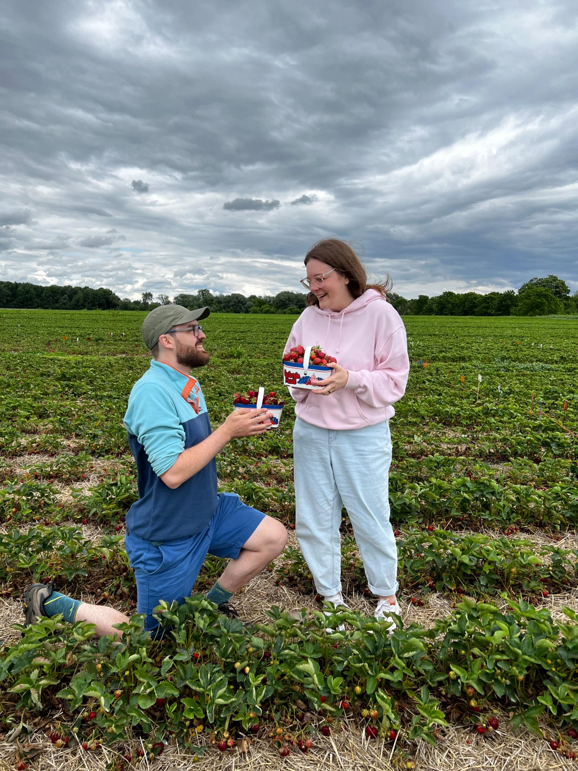 Brian proposed during the first day of Pick your Own Strawberries at Heeman's!