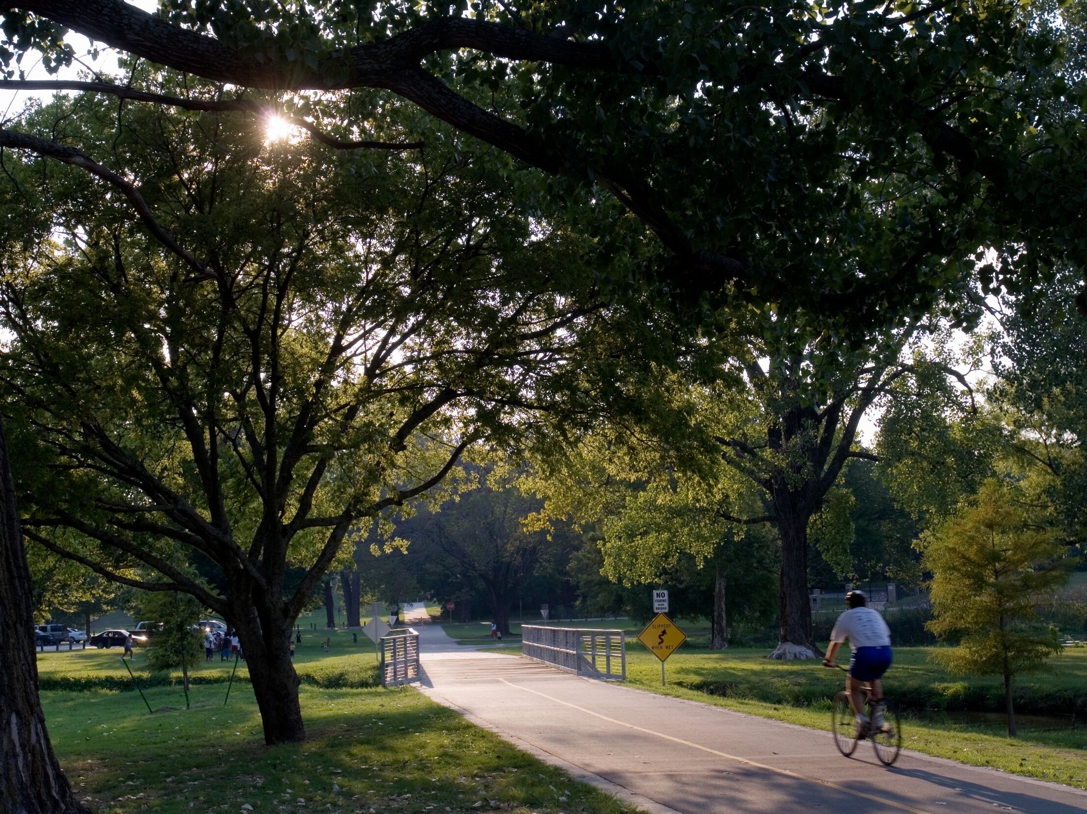 Picture of White Rock Lake Park