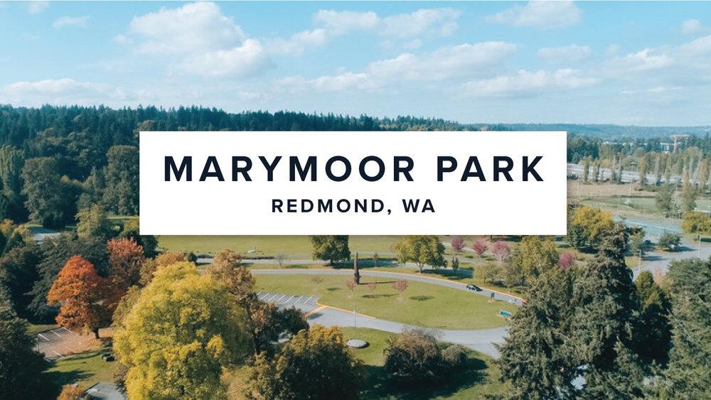 Picture of Visit Marymoor Park