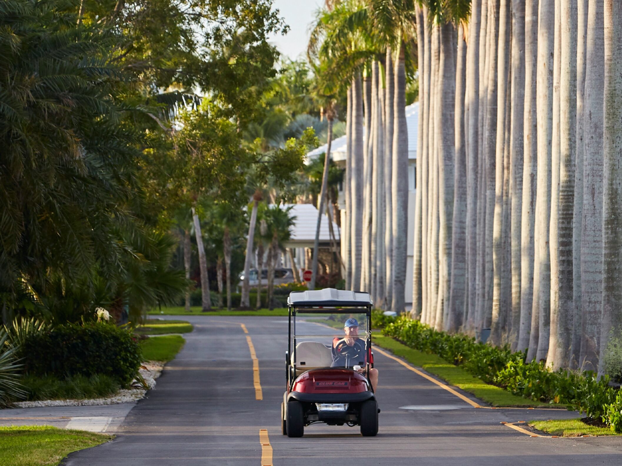 Picture of Traveling Within Ocean Reef
