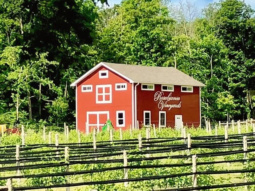 Picture of Rosabianca Vineyards
