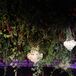 Hanging Greenery, Crystal Chandeliers and Carousel at Carnival-Themed Wedding
