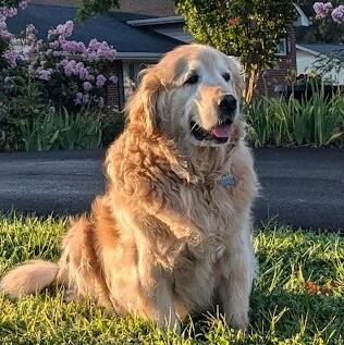 Ruger