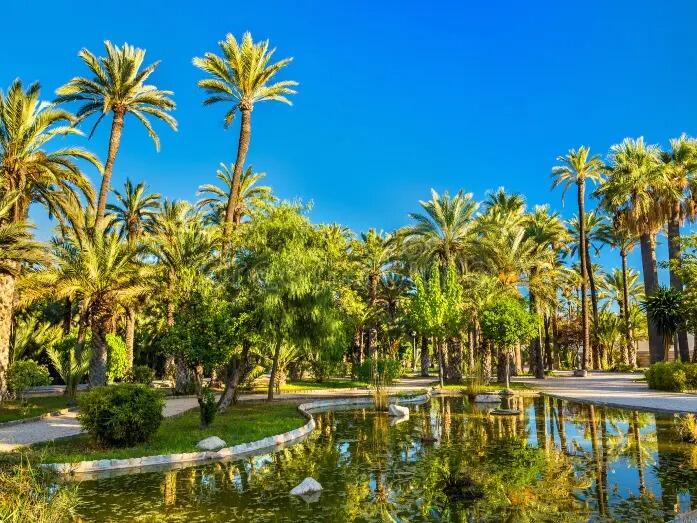 Picture of Palmenhain von Elche