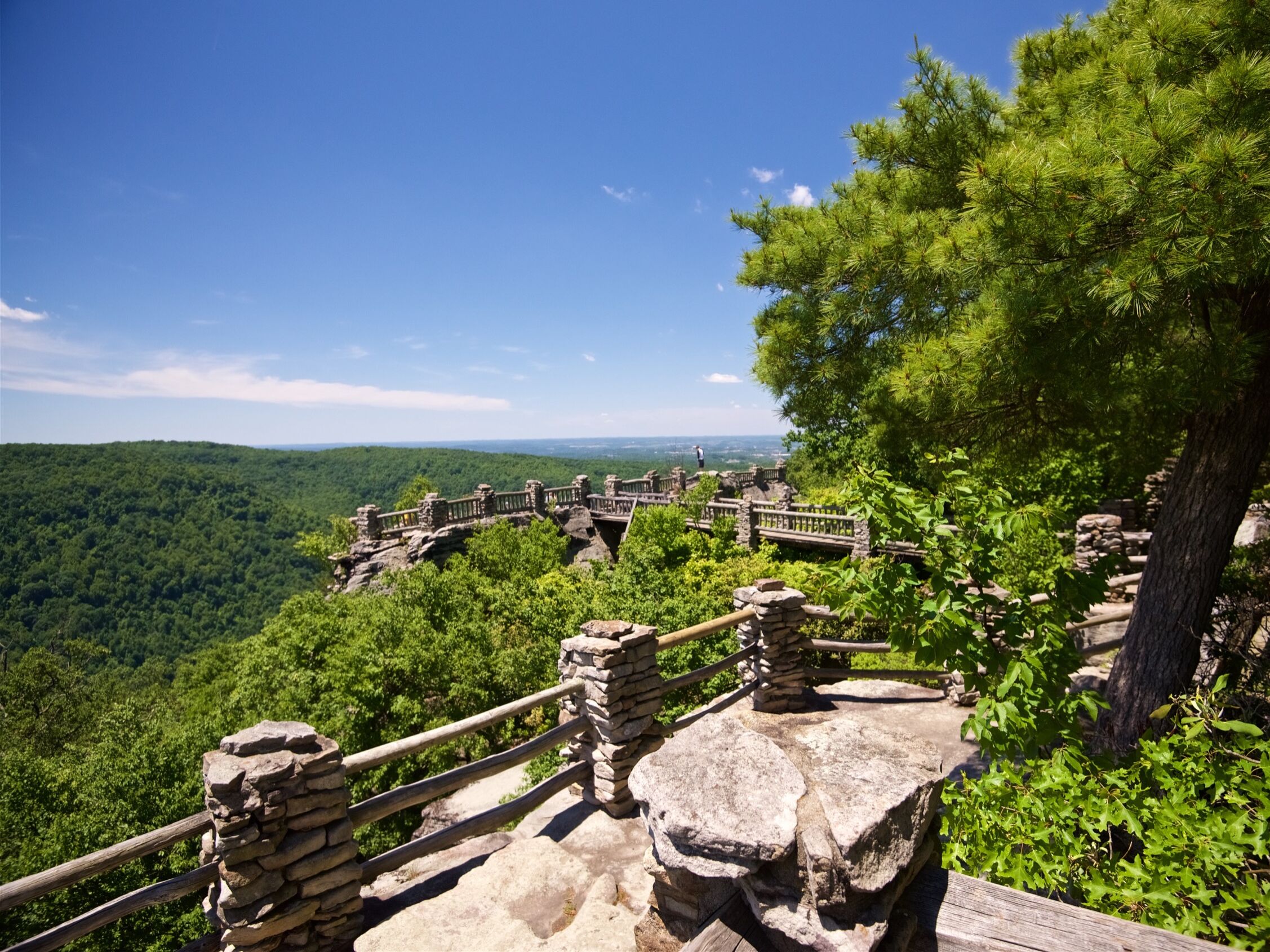 Picture of Coopers Rock State Forest